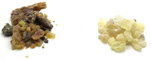 Vista 2 de Govinda - Copal (Oro) Incienso de Resina de Árbol de Goma 1 lb