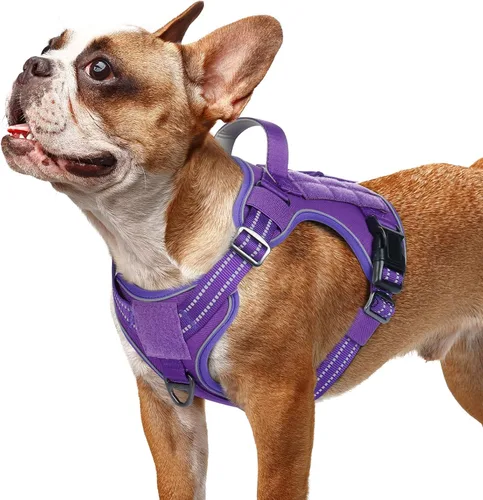 Vista 58 de rabbitgoo - Arnés para perros pequeño sin tirones, chaleco táctico de servicio con Molle y asa de control, arnés militar ajustable y reflectante