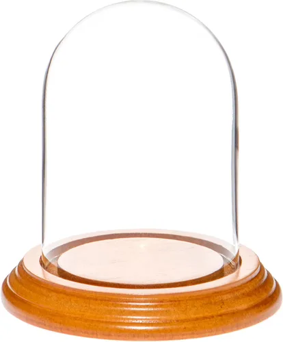 Vista 10 de Plymor campana protectora de cristal para exhibición, de 3 x 4 pulgadas, abovedada