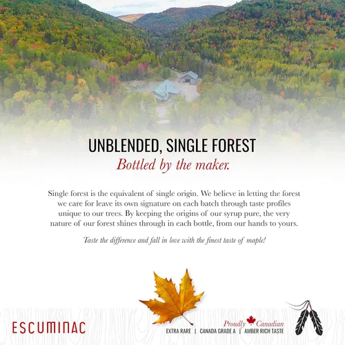 Vista 5 de Escuminac jarabe de maple canadiense, sabor rico ámbar extra raro, puro y orgánico. Botellas de vidrio mini 12 x 50ml, formato a granel