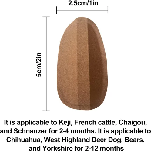 Vista 3 de CDQL Herramienta de soporte para orejas de perro, fija la postura de la oreja del perro, cómodo y fácil de usar, ideal para doberman, samoyedo, gran