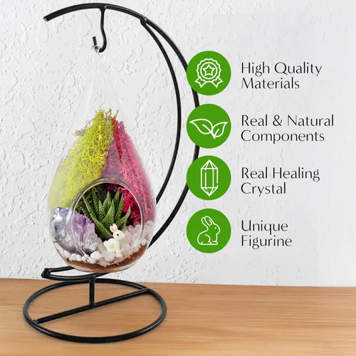 Vista 5 de Creations by Nathalie Kit de terrario casero de 18 cm en forma de lágrima con plantas vivas - Maceta colgante de vidrio con soporte para adultos
