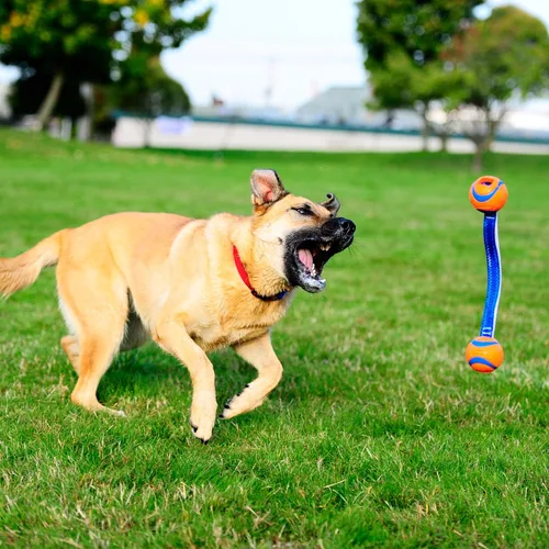 Vista 8 de Chuckit! Ultra Duo - Juguete para perro para remolcar, pequeño juguete para interiores y exteriores