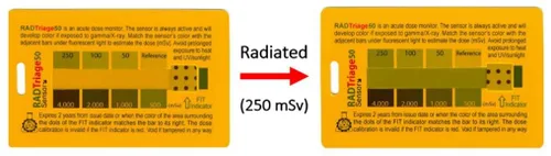 Vista 2 de Detector de radiación RAD Triage 50 para cartera o el bolsillo