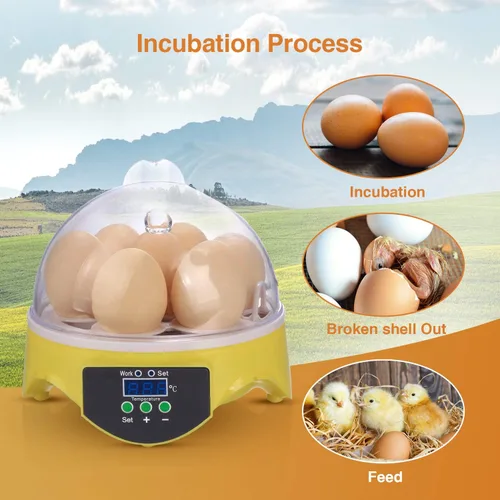 Vista 3 de Sailnovo Incubadora de huevos digital automática de pollo aves de corral incubadora de huevos, incubadoras para pájaros de codorniz de pato y ganso
