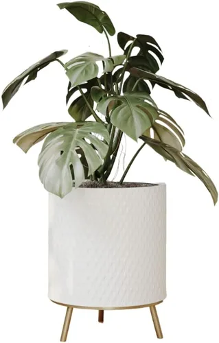 Vista 9 de EverNest Claire - Maceta blanca neutra de panal con soporte Nyra, macetas de interior, SelectBase, estilo bohemio moderno de mediados de siglo
