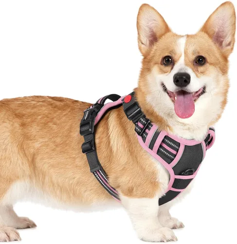 Vista 42 de Rabbitgoo - Arnés para perro de tamaño pequeño, arnés para mascotas sin tirones con 3 hebillas, chaleco acolchado suave ajustable con mango