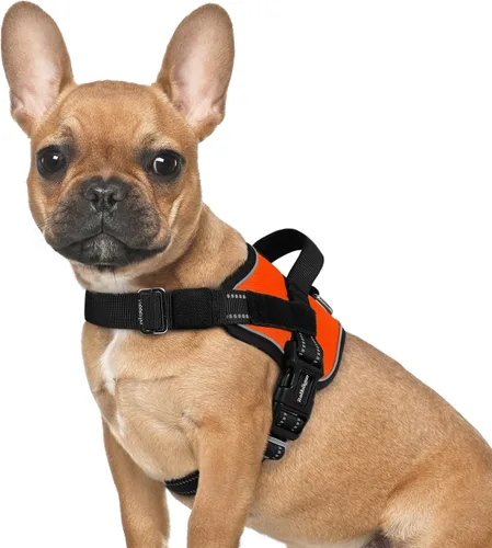 Vista 12 de rabbitgoo Arnés para perro pequeño, chaleco fácil de poner para mascotas con una hebilla, arnés de servicio ajustable sin tirones con anillo en D