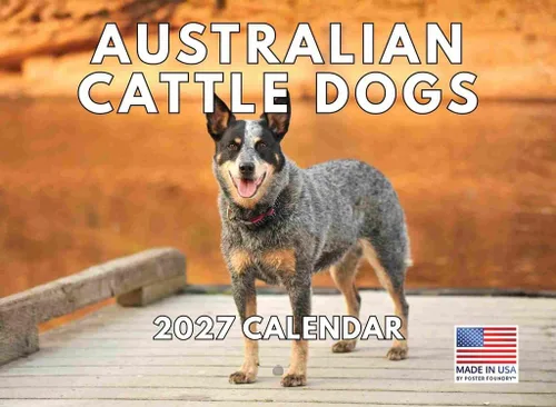 Vista 47 de Calendario mensual de pared Airedale Terrier Dog 2027