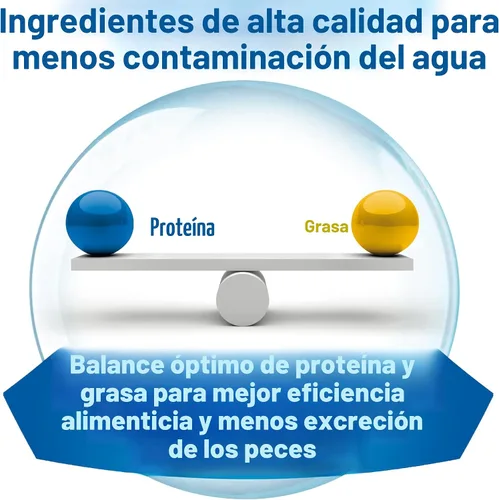 Vista 8 de TetraMin Alimento en escamas tropicales nutricionalmente equilibrado para peces tropicales, 7.06 onzas (paquete de 1)