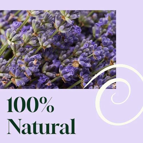 Vista 9 de Plant Therapy Home Blissful Dreams - Almohada de lavanda y niebla de lino y aerosol para habitación, para relajación y sueño, alimentado por aceites