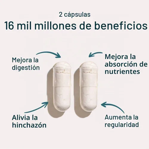 Vista 3 de Ora Organic Probióticos con prebióticos - Prebióticos veganos y probióticos para la salud digestiva Sin lácteos, sin gluten, para estómagos