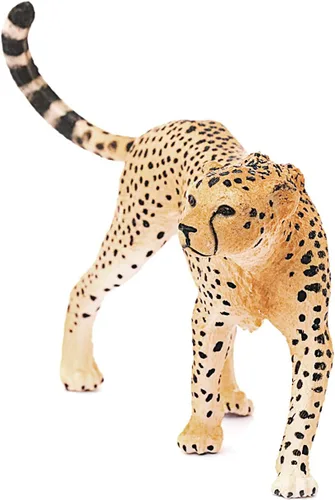 Vista 5 de Schleich Wild Life, figura de animal, juguetes de animales para niños y niñas de 3 a 8 años, guepardo femenino, a partir de 3 años