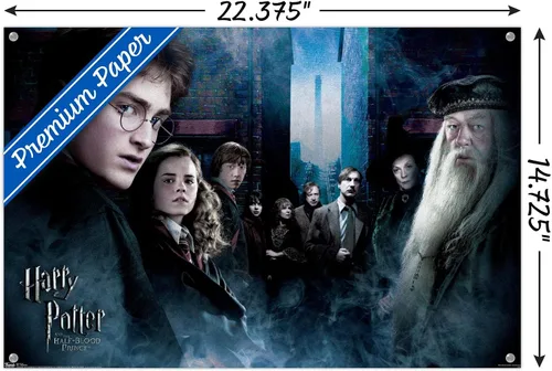 Vista 3 de Trends International Harry Potter y el príncipe mestizo - Póster de pared de la fraternidad, 14.72 x 22.37 pulgadas, paquete de póster premium