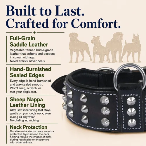Vista 3 de Collar de perro con tachuelas de cuero genuino Remache de brasero Collar de perro de 2 pulgadas de ancho Grado de sillín, resistente
