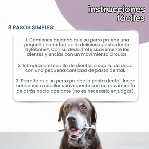 Vista 6 de Nylabone Advanced Oral Care - Kit dental para perros mayores con cepillo de dientes de cerdas suaves y acolchadas, 3