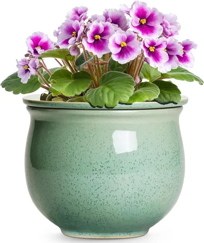 Vista 18 de Macetas de riego automático de 6 pulgadas para plantas de interior, macetas de cerámica violeta africana con maceta interior absorbente, maceta