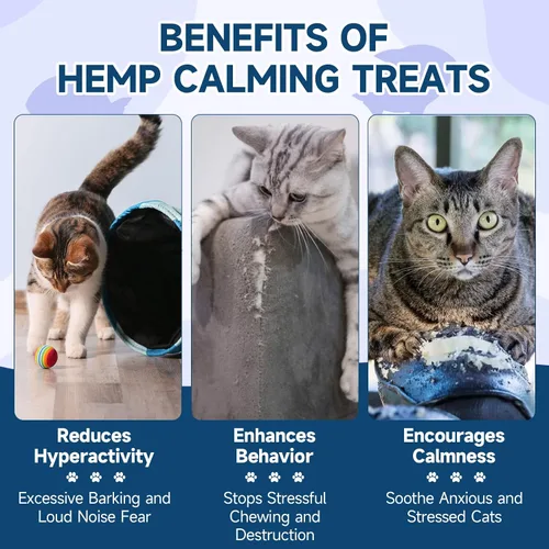 Vista 4 de Woyamay Golosinas calmantes para gatos de cáñamo, 200 golosinas masticables calmantes para gatos para la ansiedad y el alivio del estrés, golosinas