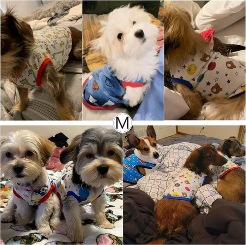 Vista 3 de Geyoga Camisas para perros de 6 piezas - Lindas camisas y sudaderas de algodón con estampado para perros (M)