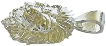 Vista 4 de Colgante de plata de ley 925 con dije de cabeza de león Leo del zodiaco Plata esterlina Sin gemas