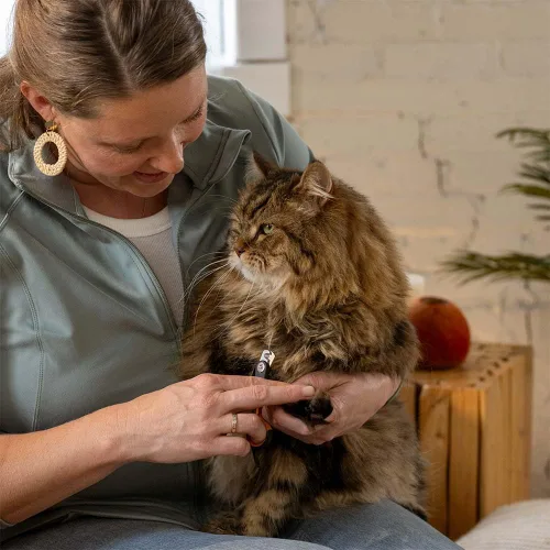 Vista 9 de Fiskars Cortauñas para mascotas, recortadores de uñas pequeños para gatos