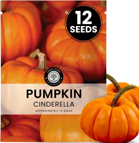 Vista 12 de Matt's Wild Cherry Tomate – 400 semillas premium para plantar – Tomates cherry prolíficos, dulces y de crecimiento vigoroso para la temporada 2026