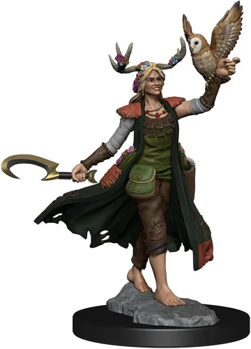 Vista 6 de WizKids D&D Frameworks: Mujer druida humana - Sin pintar y sin ensamblar