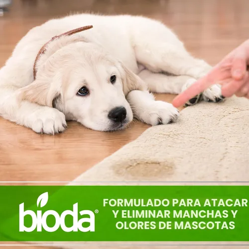 Vista 3 de Bioda Eliminador enzimático de manchas y olores para mascotas, 1 galón