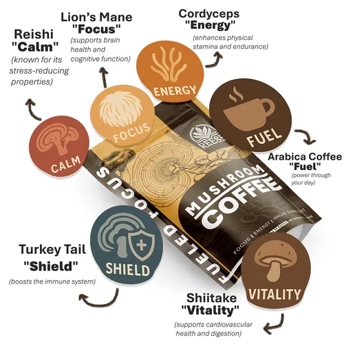 Vista 5 de Café orgánico de hongos – Enfoque alimentado con Reishi, melena de león, cordyceps y cola de pavo – Alivio del estrés, salud cerebral, energía