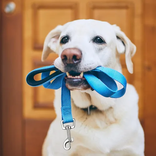 Vista 4 de 6 correas para perro a granel para perros medianos y grandes, paquete de nailon resistente, correas para perros, mango acolchado, collar reflectante