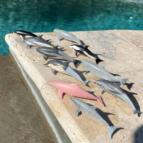 Vista 7 de Safari Ltd. Dolphin TOOB - 10 figuras de delfines en miniatura, juego de juguetes educativos para niños, niñas y niños a partir de 3 años