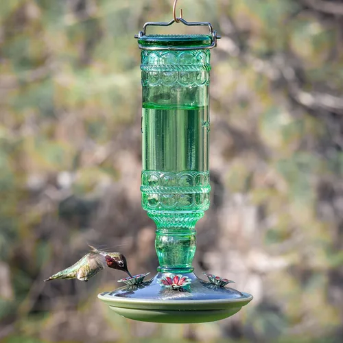 Vista 11 de Perky-Pet 8108-1SR - Comedero de vidrio para colibríes para exteriores, estilo botella antigua, comederos para colibríes de 10 onzas para decoración