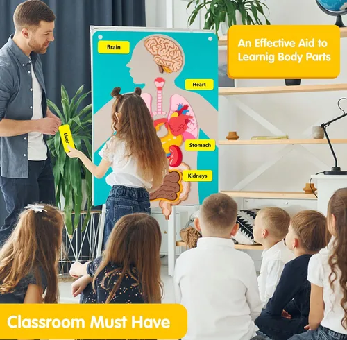 Vista 2 de Craftstory Partes del cuerpo de enseñanza historias de tablero de fieltro para niños pequeños, manualidades de artes, juguetes para niños
