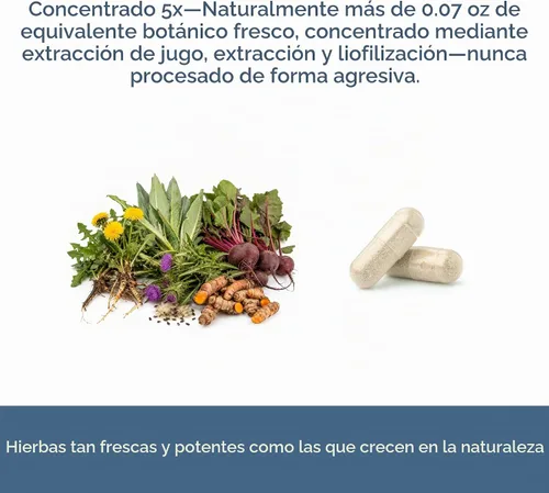 Vista 6 de Hierba ecléctica, cápsulas concentradas de apoyo hepático, desintoxicación, 45 CT, 400 mg