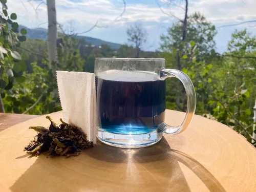 Vista 4 de Jade Tea - Té de polifenol orgánico - Hoja de menta, anís estrellado, clavo y flor de guisante mariposa - Rico en antioxidantes - 25