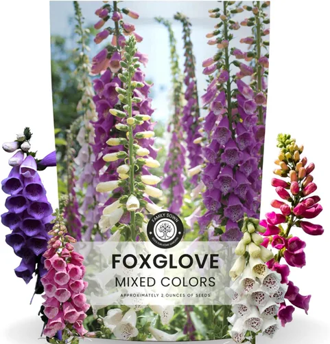 Vista 8 de Foxglove - Colores mixtos - 2,000 semillas para plantar - Temporada 2026 - Bolsa de 1/2 onza