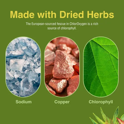 Vista 6 de Herbs Etc. ChlorOxygen - Gotas de limonada – 50 mg de clorofila – Apoyo de energía y vitalidad – 1 onza líquida (66 porciones)