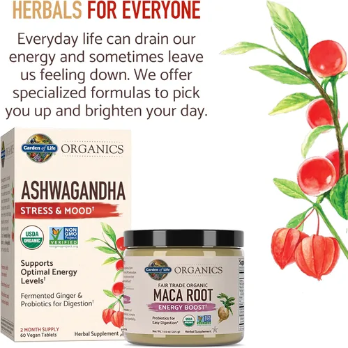 Vista 8 de Garden of Life Suplemento orgánico de Ashwagandha con probióticos y jengibre, apoyo para el estrés, el estado de ánimo y la energía, vegano, sin