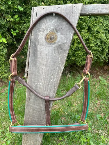Vista 4 de Leaders - Cabestro de cuero de 3/4 pulgadas para caballos con placa de identificación grabada personalizada, halter de cuero con placa de nombre