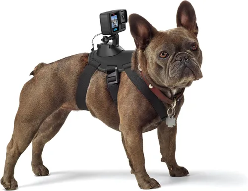Vista 2 de Arnés para perros GoPro Fetch - Montura oficial GoPro (Paquete de 6)