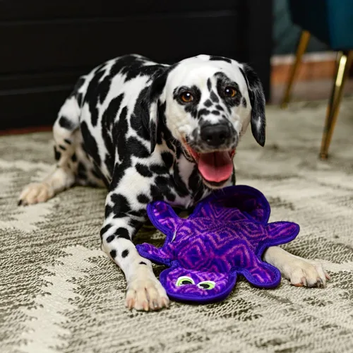 Vista 5 de Outward Hound Durablez Gecko Mediano sin Relleno - Juguete de Peluche con Sonido para Cachorros y Perros - Interactivo, Suave pero Resistente, Sin