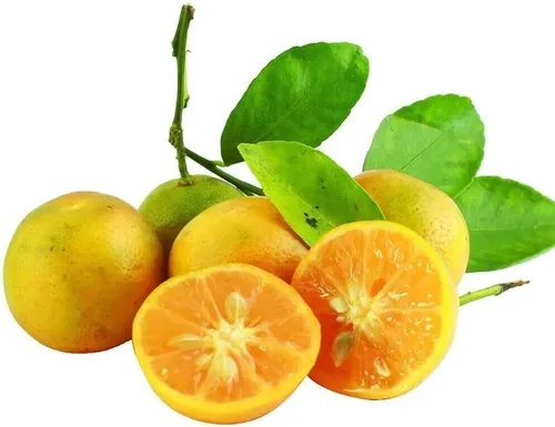 Vista 3 de Semillas Calamondin Citrus Reticulata Semillas 10 Semillas