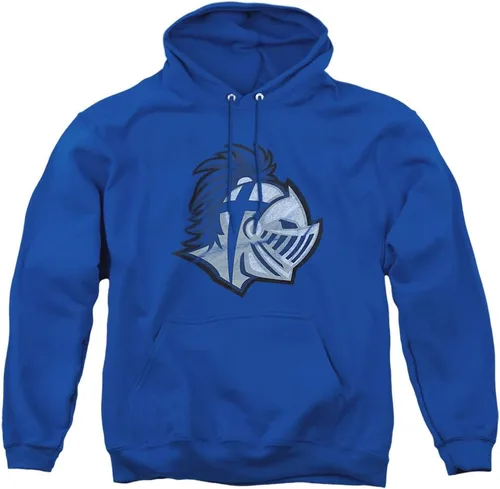 Vista 137 de Distressed College Primary Logo Adult Pullover Hoodie Collection 1 Universidad Estatal de Albany