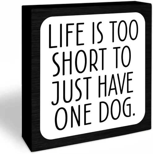Vista 6 de 4x4 Funny Cat Wooden Block Sign, Spoiled Cats Live Here