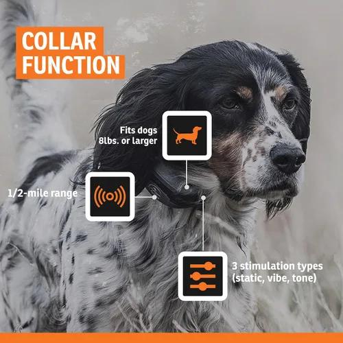 Vista 5 de SportDOG FieldSentinel 825 - Entrenador remoto con alertas de salud de guardaespaldas, monitorea la frecuencia cardíaca y el esfuerzo - Entrenador