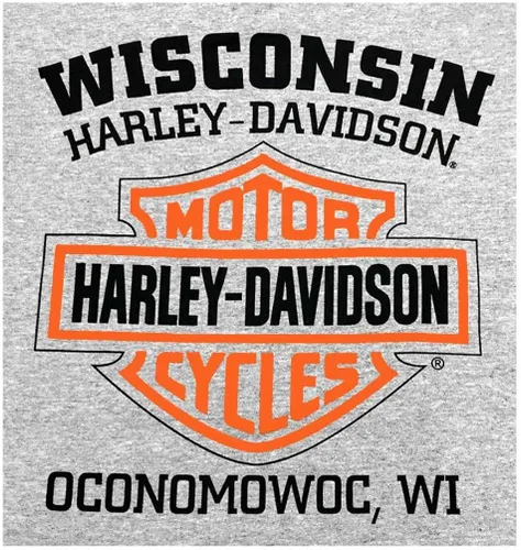 Vista 2 de Harley-Davidson Sudadera con capucha para hombre, color gris 30296627, Gris (Sport Gray)