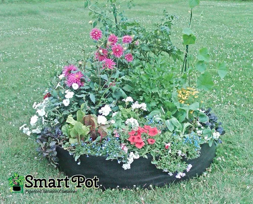 Vista 2 de Smart Pot 100511247 Big Bag - Cama elevada de tela, original, color negro (paquete de 5)
