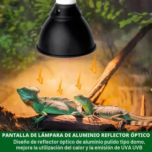 Vista 5 de BNOSDM Lámpara de reptil, lámpara de calor de reptiles de cúpula poco profunda de 5.5 pulgadas para bombilla UVB UVA, bombilla de calor de reflexión