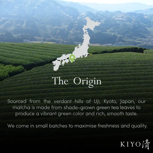 Vista 4 de Kiyo Matcha Grado Clásico Hatsumukashi Ceremonial Uji Matcha - Polvo de Té Verde Matcha Ceremonial de Primera Cosecha Japonesa Pura de Uji, Japón