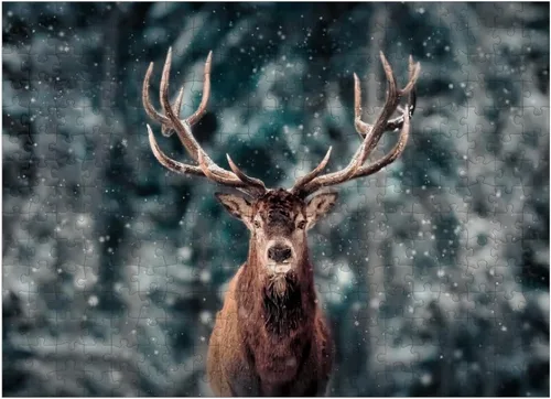 Vista 7 de MyPuzzle Noble Deer in Winter Snow Forest - Rompecabezas de 100 piezas para adultos